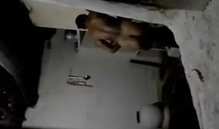 Bush full erotik videolar