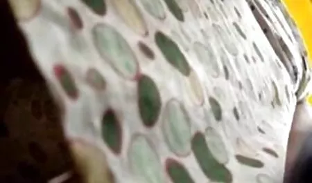 Lezbiyen aşk horoz güzel - tecavüz erotik video estetik