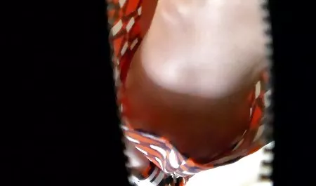 Veronica Avluv sağlam erotik sahne video olması için eğitilmiştir