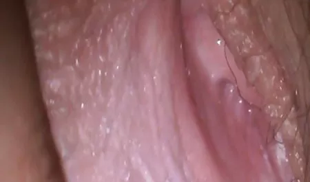 Üç Sıcak Babes ıslak Pussies erotik sahneler sevişme zevk