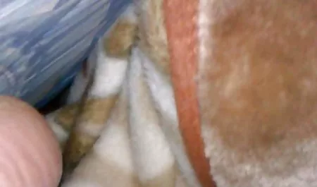 Uzun sevişme erotik sahneler Saç , Saç ,