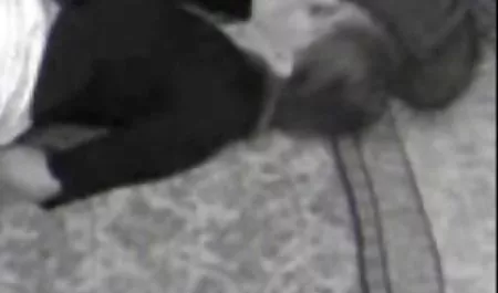 Kocaman...kız erotik videolar 2018 kardeşimle ayrıldık seninle inanamıyorum